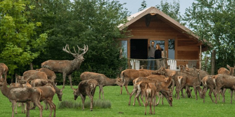 Parc animalier de Sainte‑Croix
